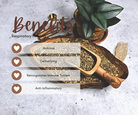 Respiratory Healing Tea